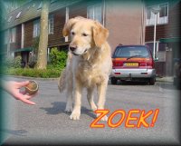 zoek op deze site